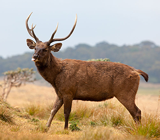 6 Days Nature History Tour